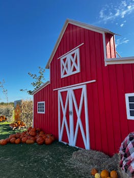 迷人的红色谷仓在明亮的蓝天下，被南瓜装饰得恰到好处，非常适合秋季主题内容