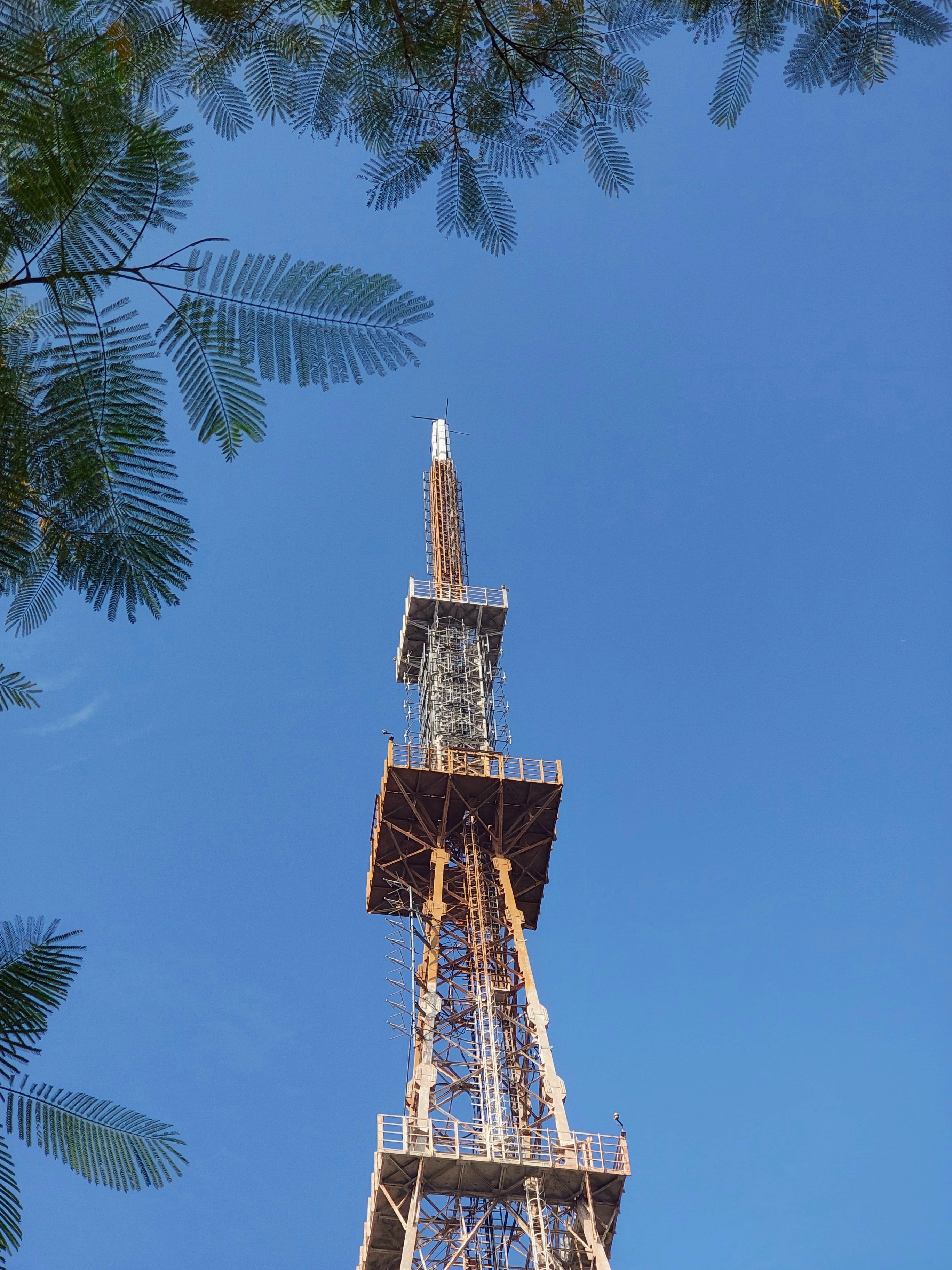 好的，我会根据您的要求进行优化