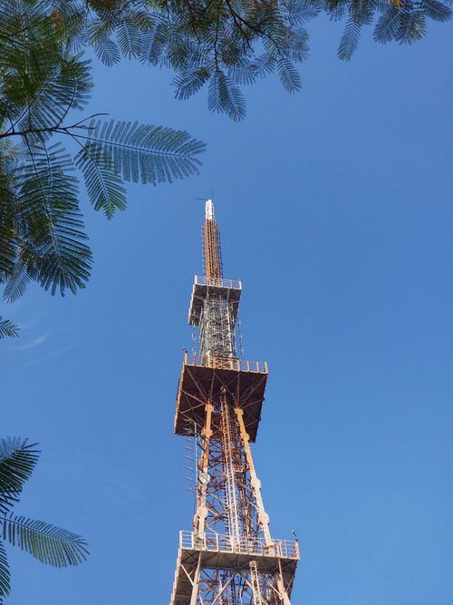 Free A notable tower structure framed by tree branches under a clear blue sky. Stock Photo
