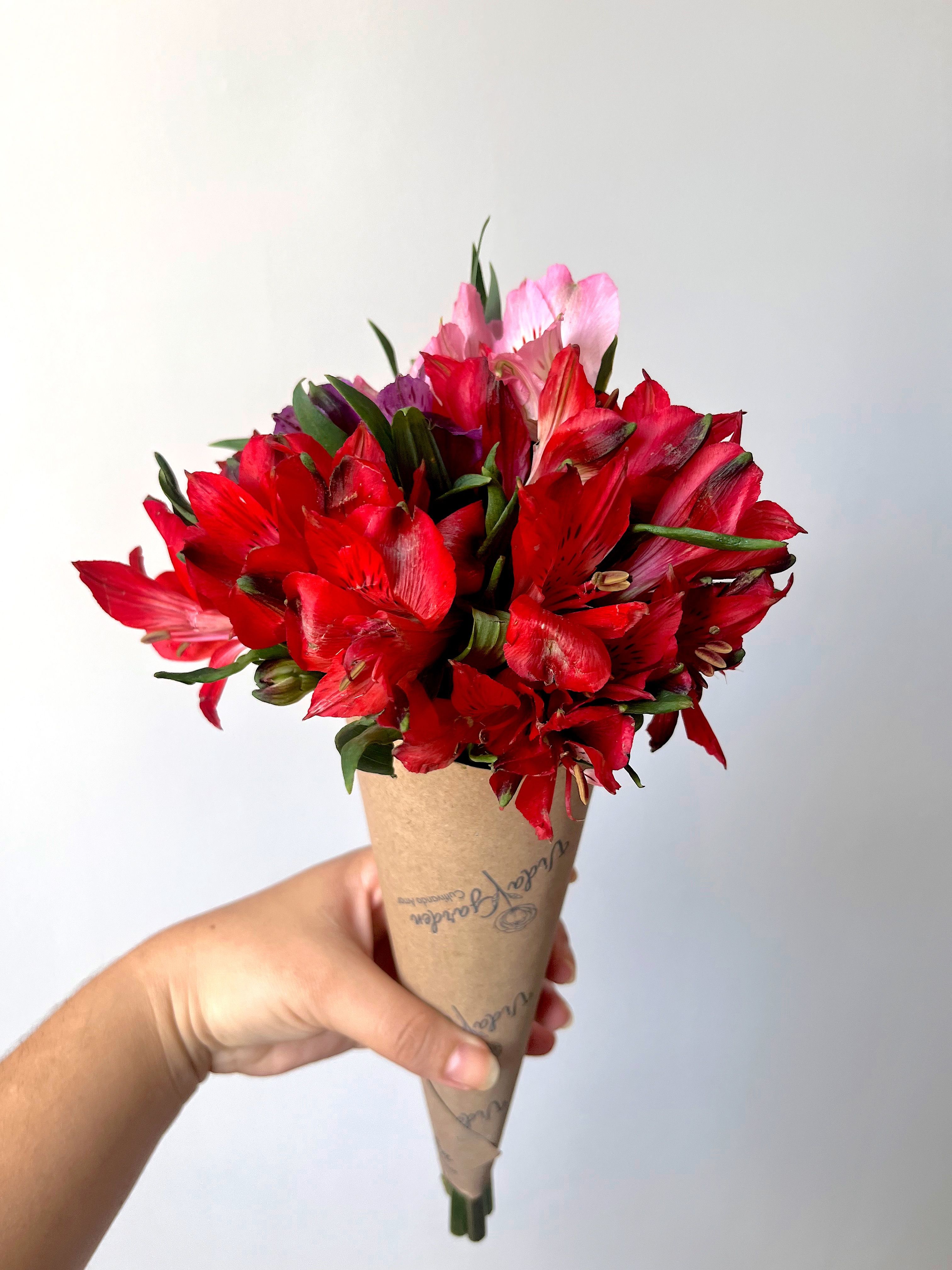 Vibrant Red Alstroemeria Flower Bouquet · Free Stock Photo