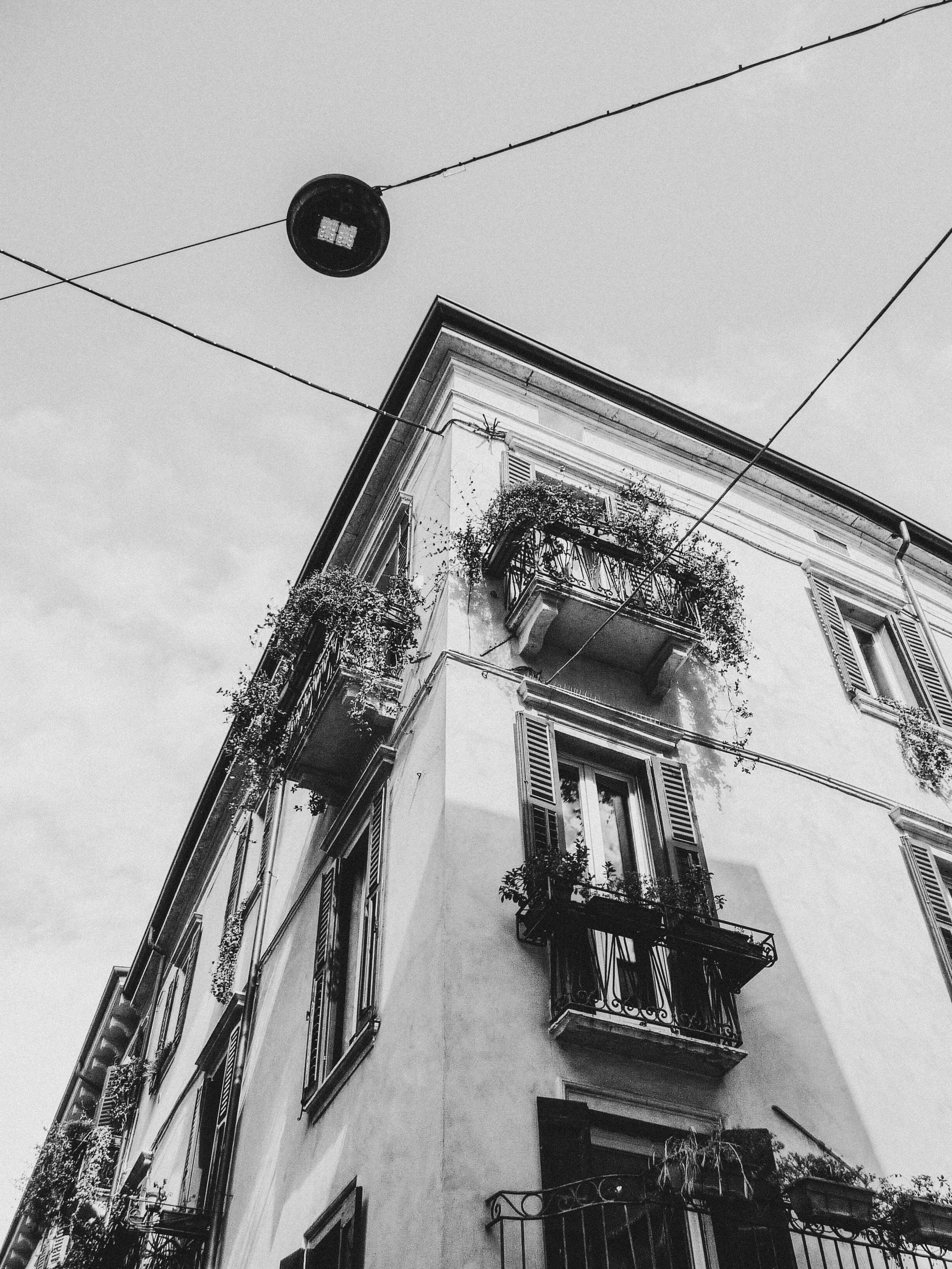 在城市的一角，有一座建筑物，它的角落被一张单色的照片所占据