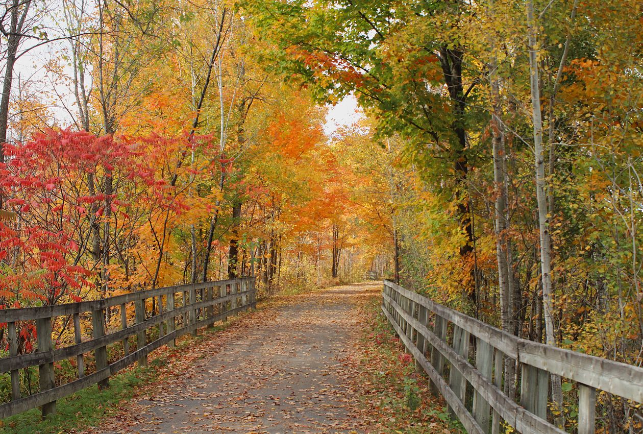 Crimson Canopies and Ridge-Top Trails: An Immersive Autumn Hike Through the Blue Hills