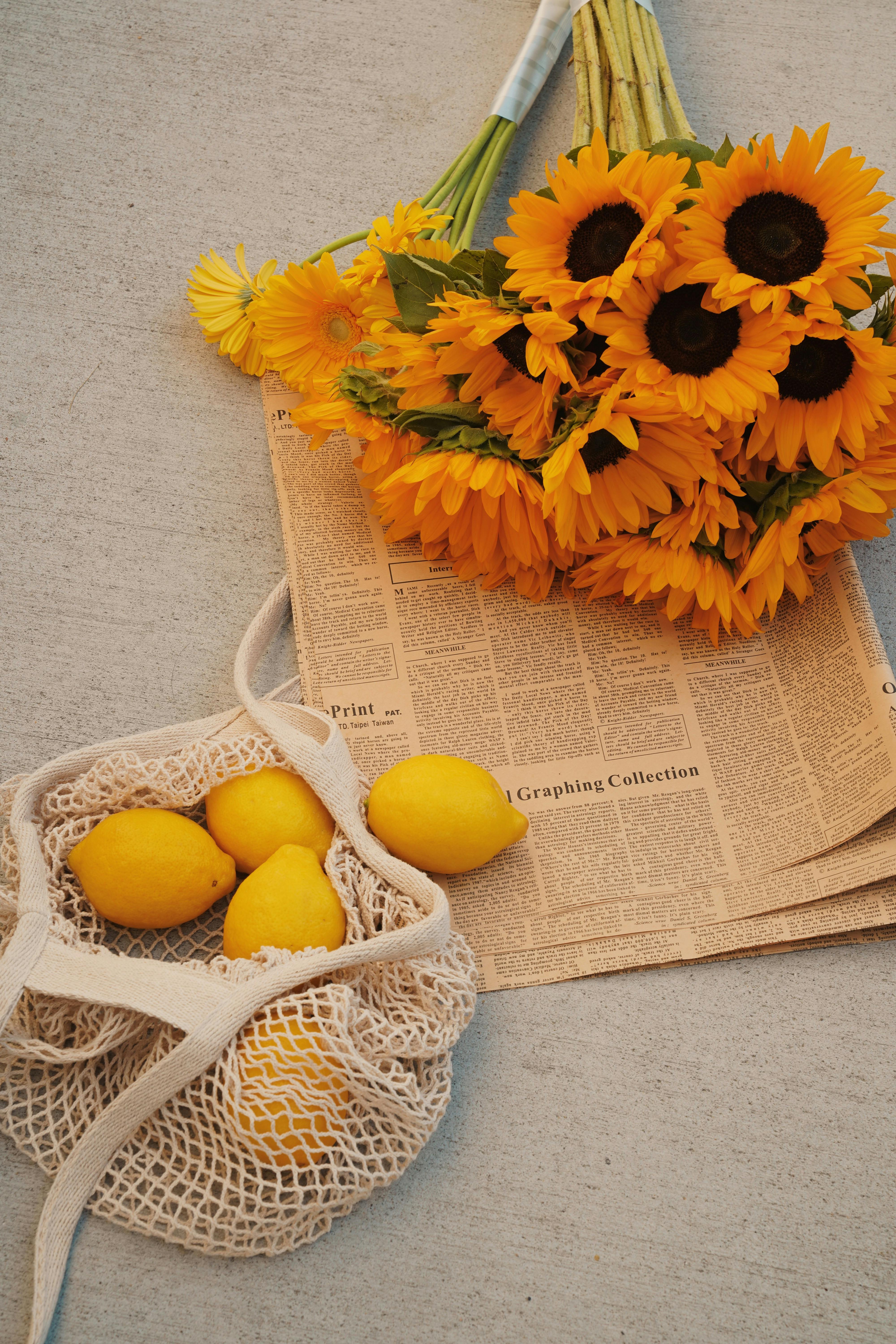 Are There Eco-friendly Basketballs Available On The Market? Are There Eco-friendly Basketballs Available On The Market?