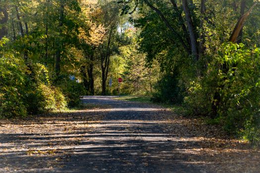 Ottawa's Best Hiking Trails for Spring 2026: Where to Walk as the Ice Melts