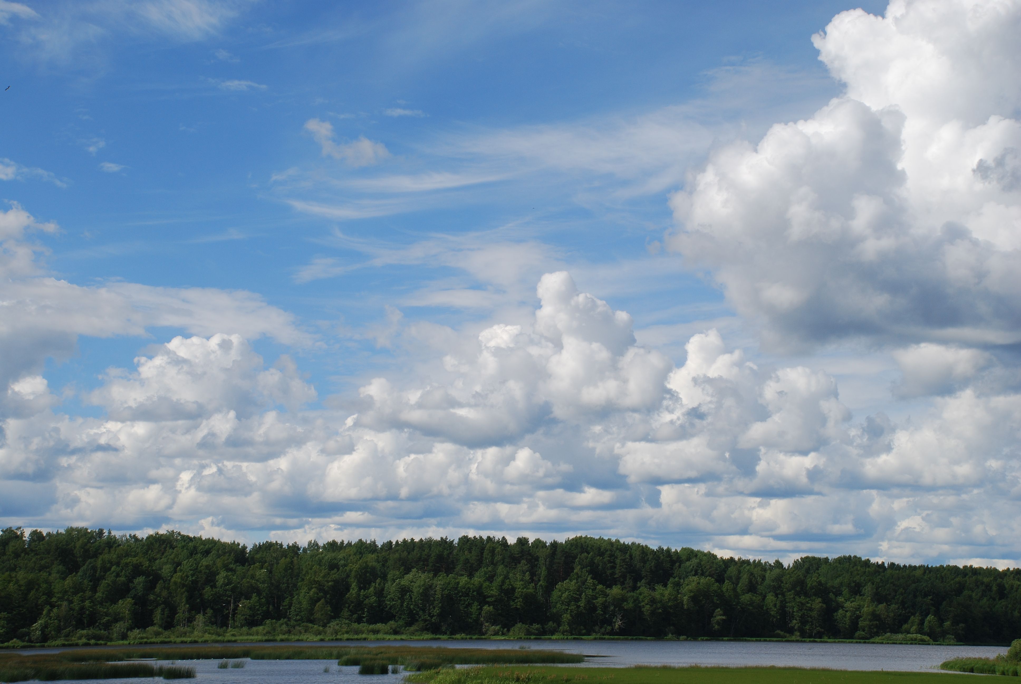 Serene Landscape with Blue Sky and Fluffy Clouds · Free Stock Photo