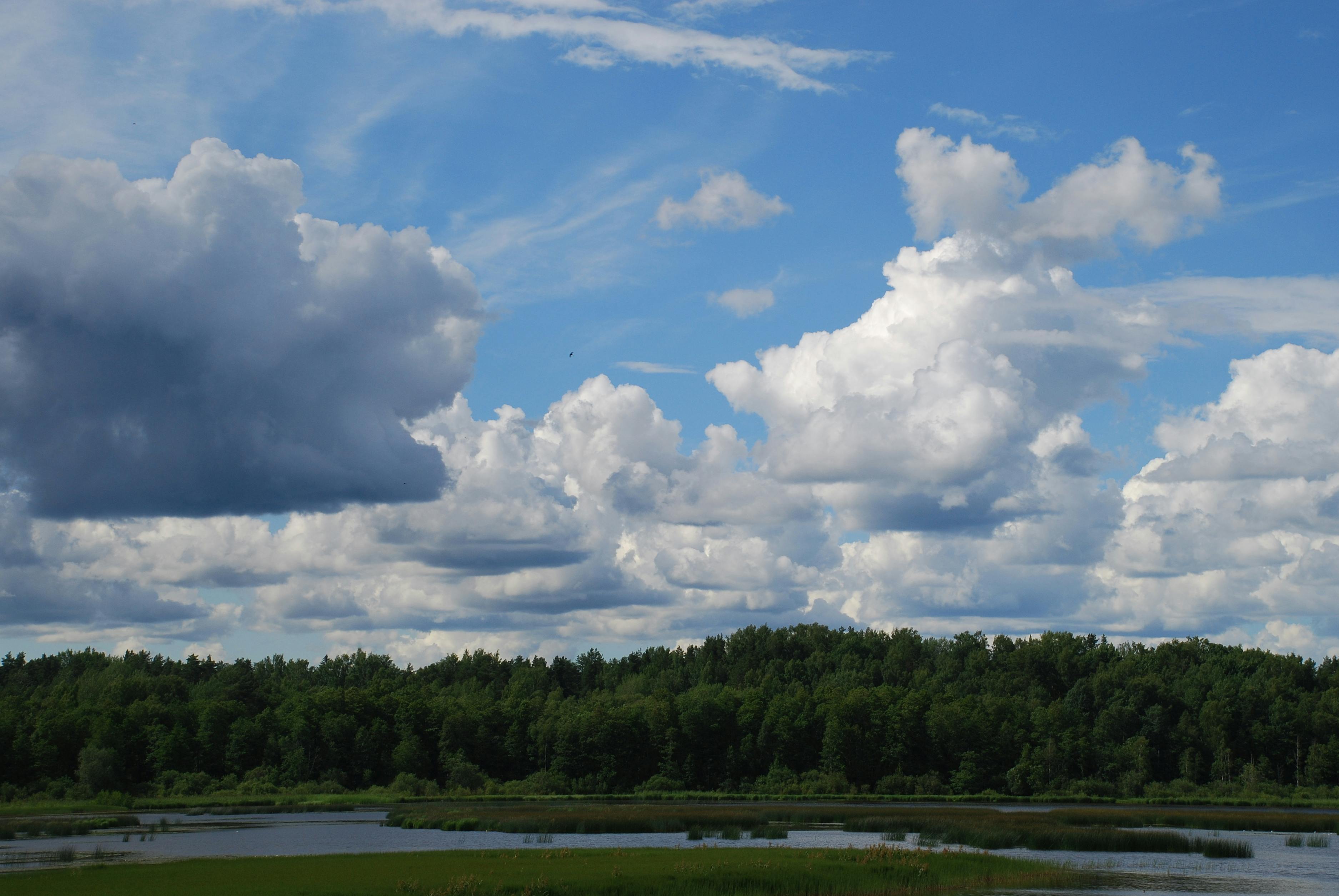 生活：今天天氣多雲轉晴 氣溫升高午後局部雷陣雨注意防範