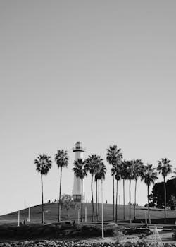 Scenic view of a lighthouse surrounded by palm trees in Long Beach, California, captured in monochrome.