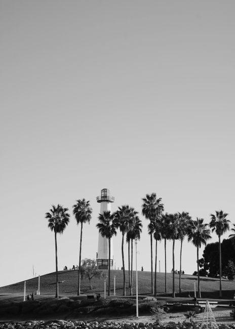 Scenic view of a lighthouse surrounded by palm trees in Long Beach, California, captured in monochrome.