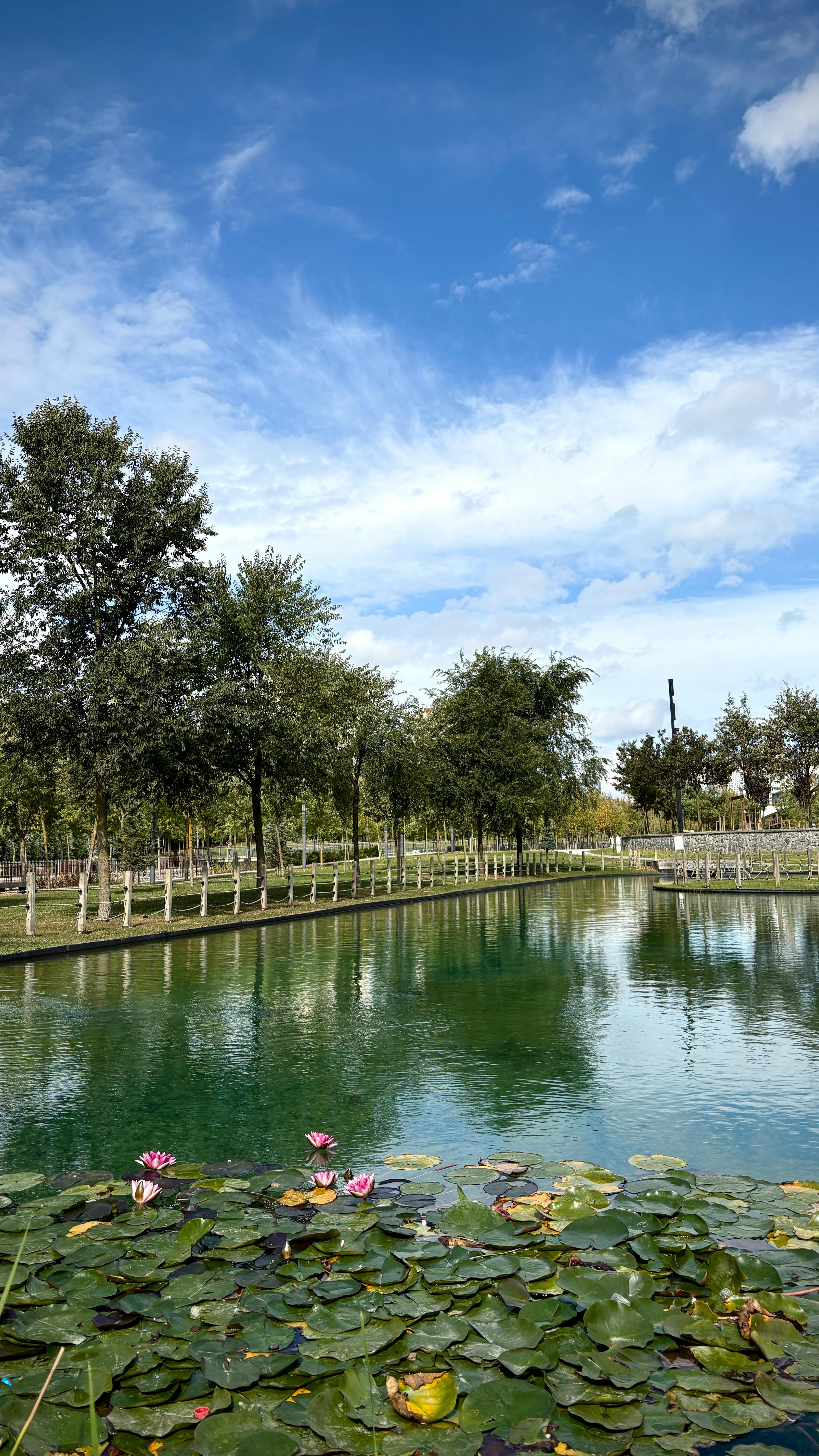 原句：
你是一名专业的文本编辑，擅长纠正由其他语言直译成中文时产生的不自然语序