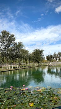 原句：
你是一名专业的文本编辑，擅长纠正由其他语言直译成中文时产生的不自然语序