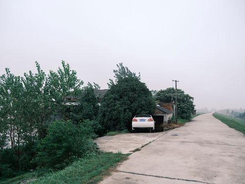 Free Abandoned car surrounded by vegetation near a foggy road in rural setting. Stock Photo
