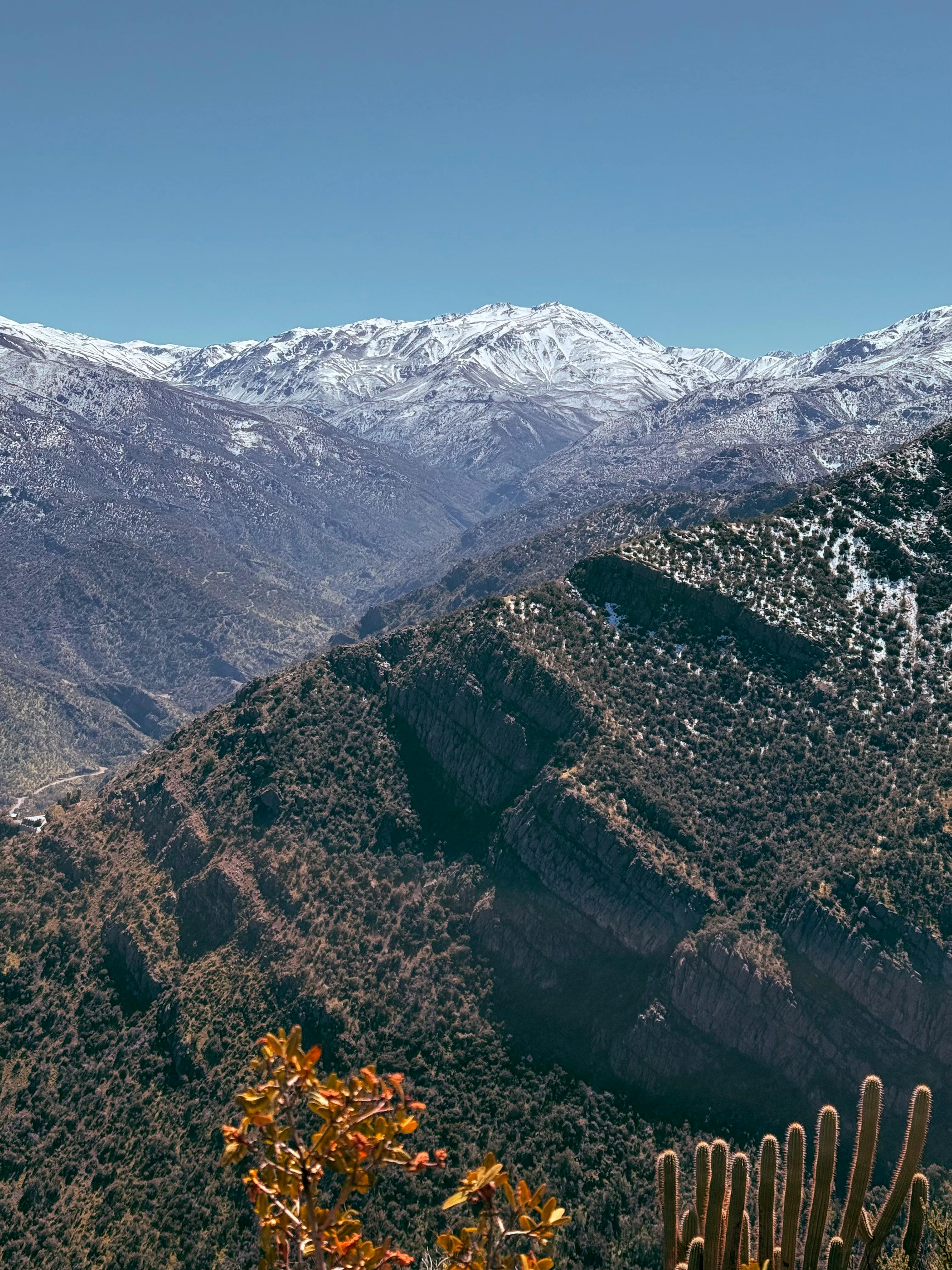您没有提供具体的句子内容，我无法直接对其进行优化