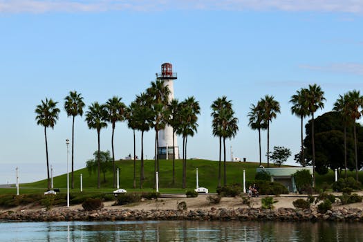 好的，请提供您需要优化的句子