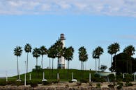 原句：
你是一名专业的文本编辑，擅长纠正由其他语言直译成中文时产生的不自然语序