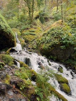 Calm scene of a small waterfall cascading over mossy rocks in a lush Oregon forest.