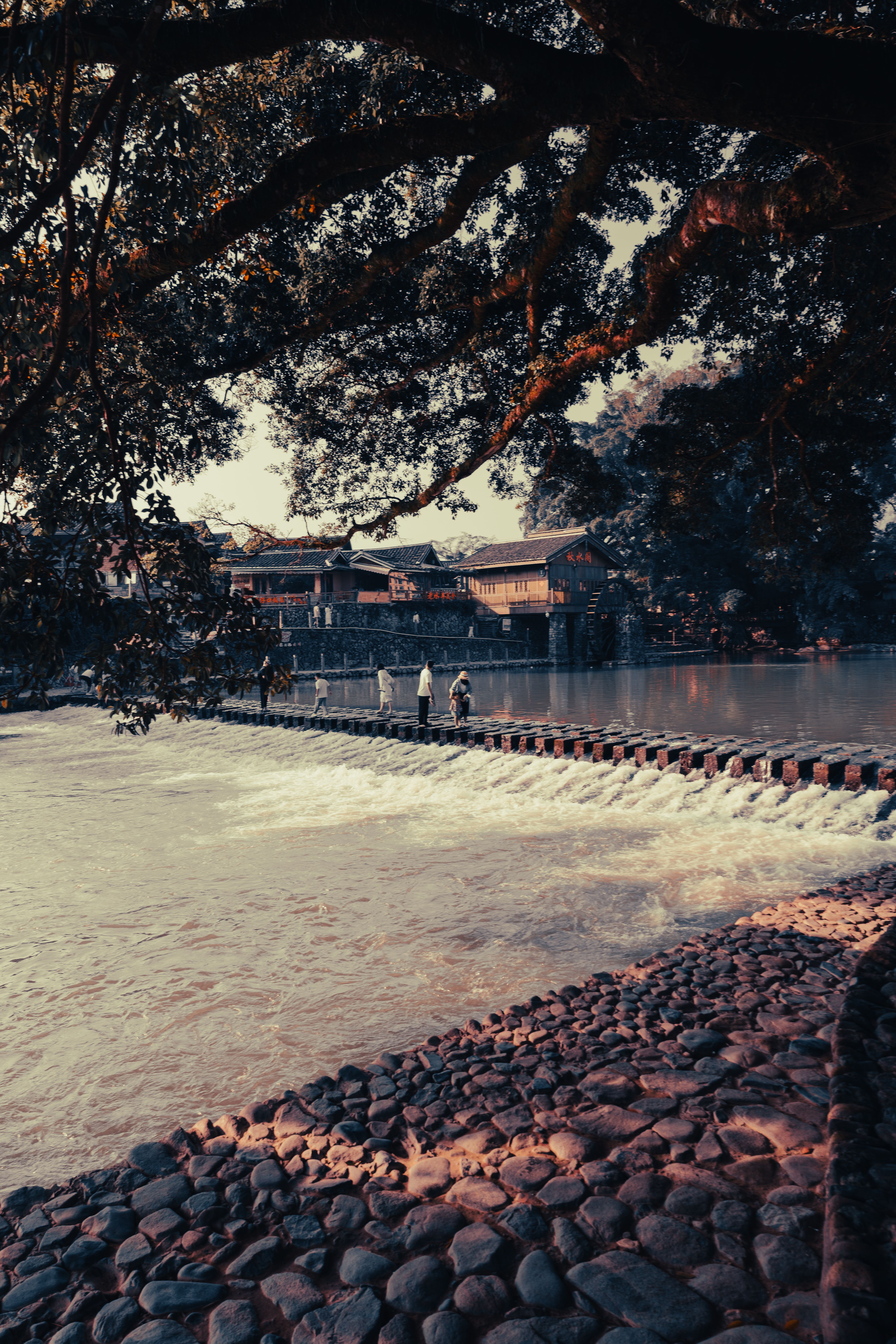 Calm Environment Photos Download The Best Free Calm Environment Stock