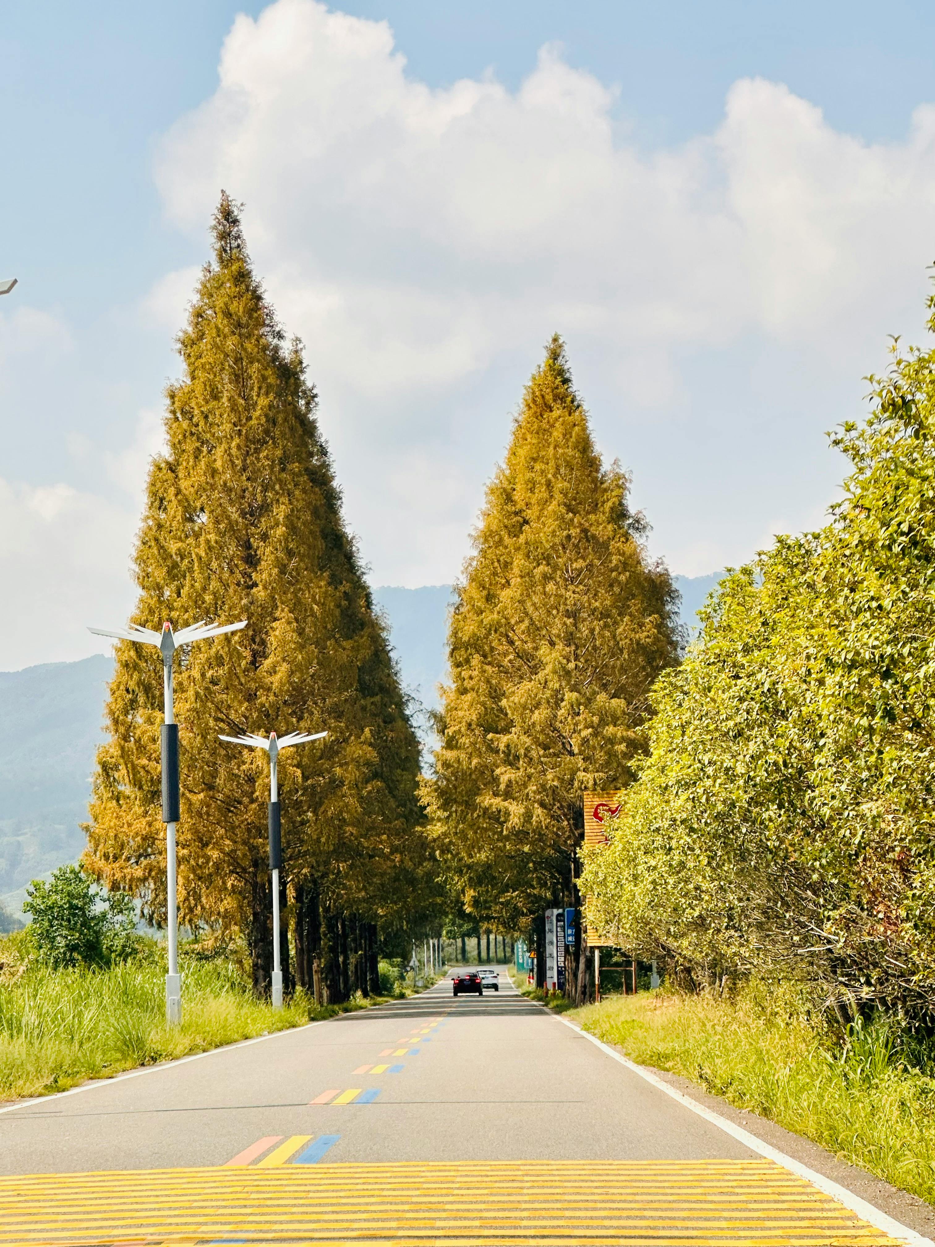 好的，我会按照您的要求进行优化