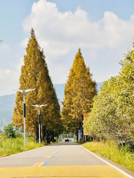 好的，我会按照您的要求进行优化