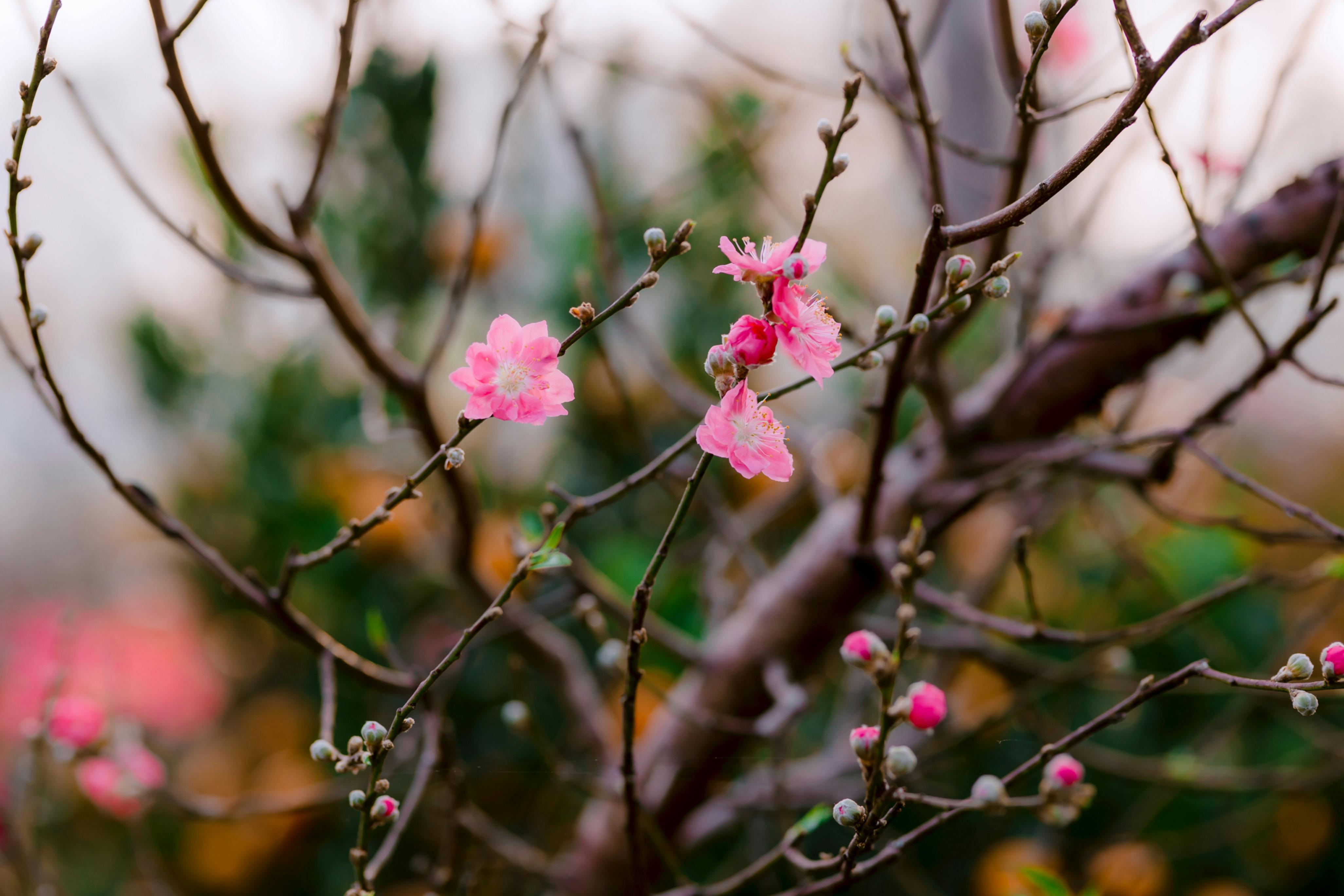 Image : Unlock Growth: UX Is Your Business's Unfair Advantage