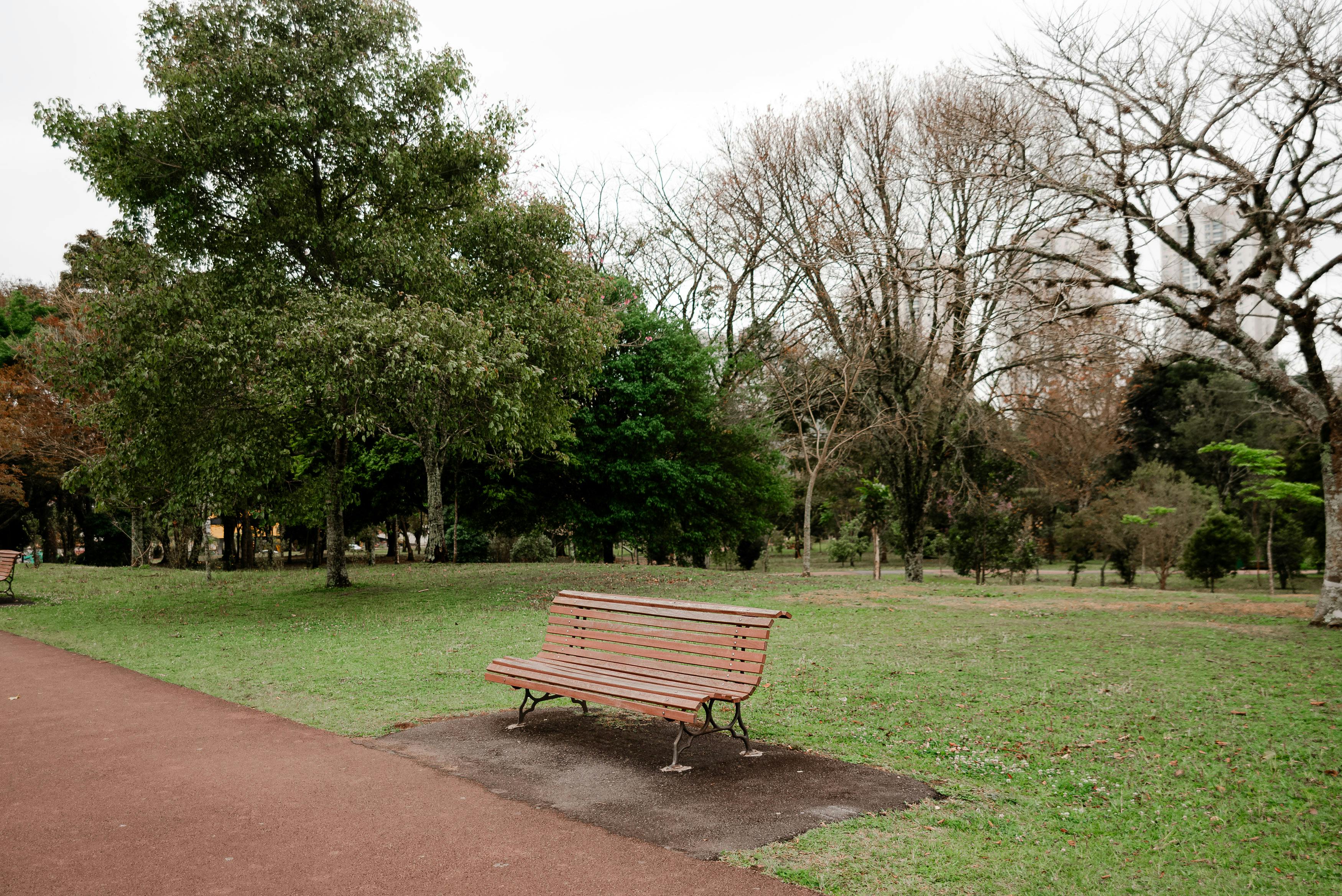 宁静的户外公园环境在季节过渡期间设有树木间的孤独长凳
