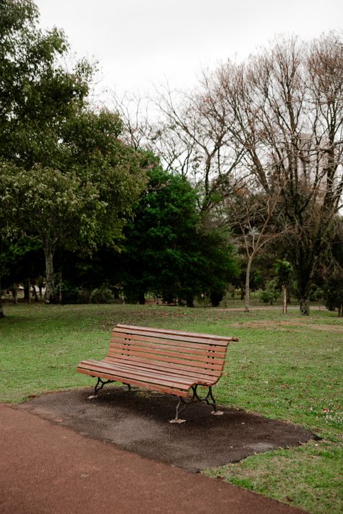 Free A solitary park bench surrounded by lush green trees in a peaceful forest setting. Stock Photo