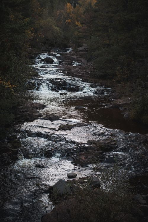 Free A serene stream flows through a dense autumn forest, showcasing rich fall colors. Stock Photo