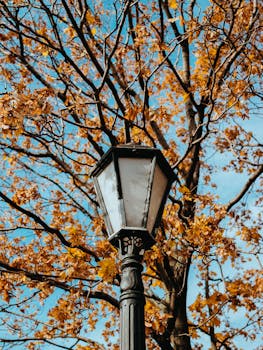 在蔚蓝的天空下，一盏老式的路灯矗立在秋叶的生机勃勃之中