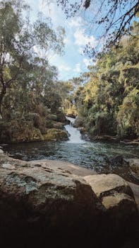 好的，我会按照您的要求进行优化