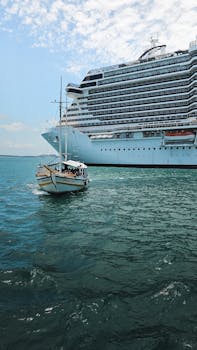 好的，我会按照您的要求进行句子的优化