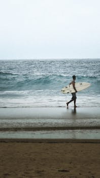 好的，我明白了您的需求