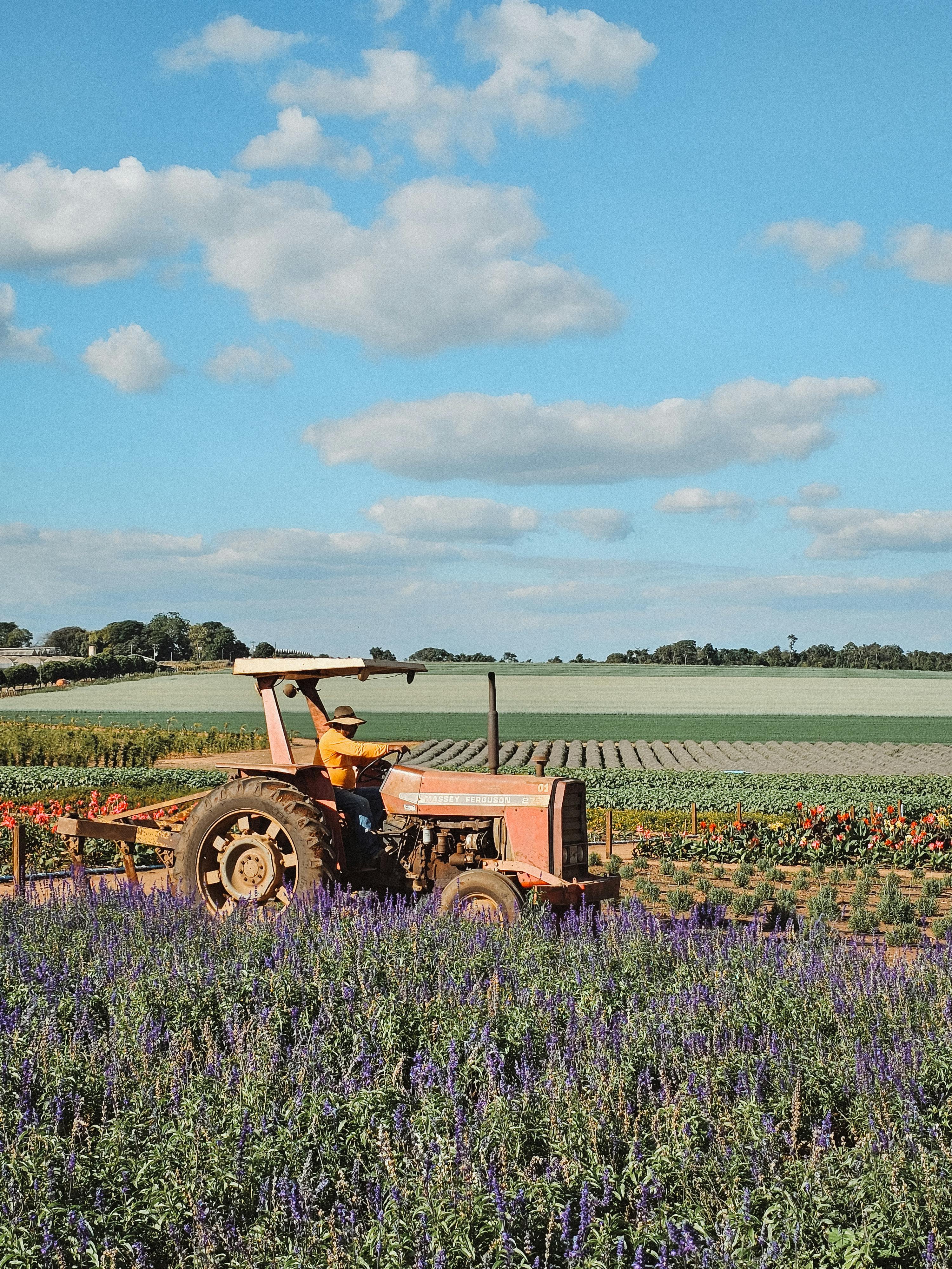 好的，我会按照您的要求进行句子优化