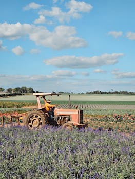 好的，我会按照您的要求进行句子优化