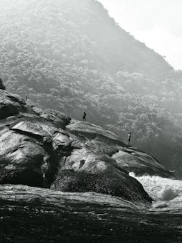 好的，我会按照您的要求进行句子的优化