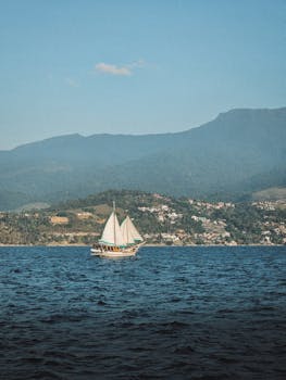 好的，我会按照您的要求进行句子的优化