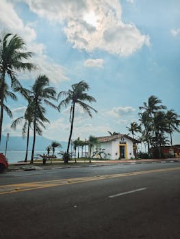 好的，请提供您需要优化的句子