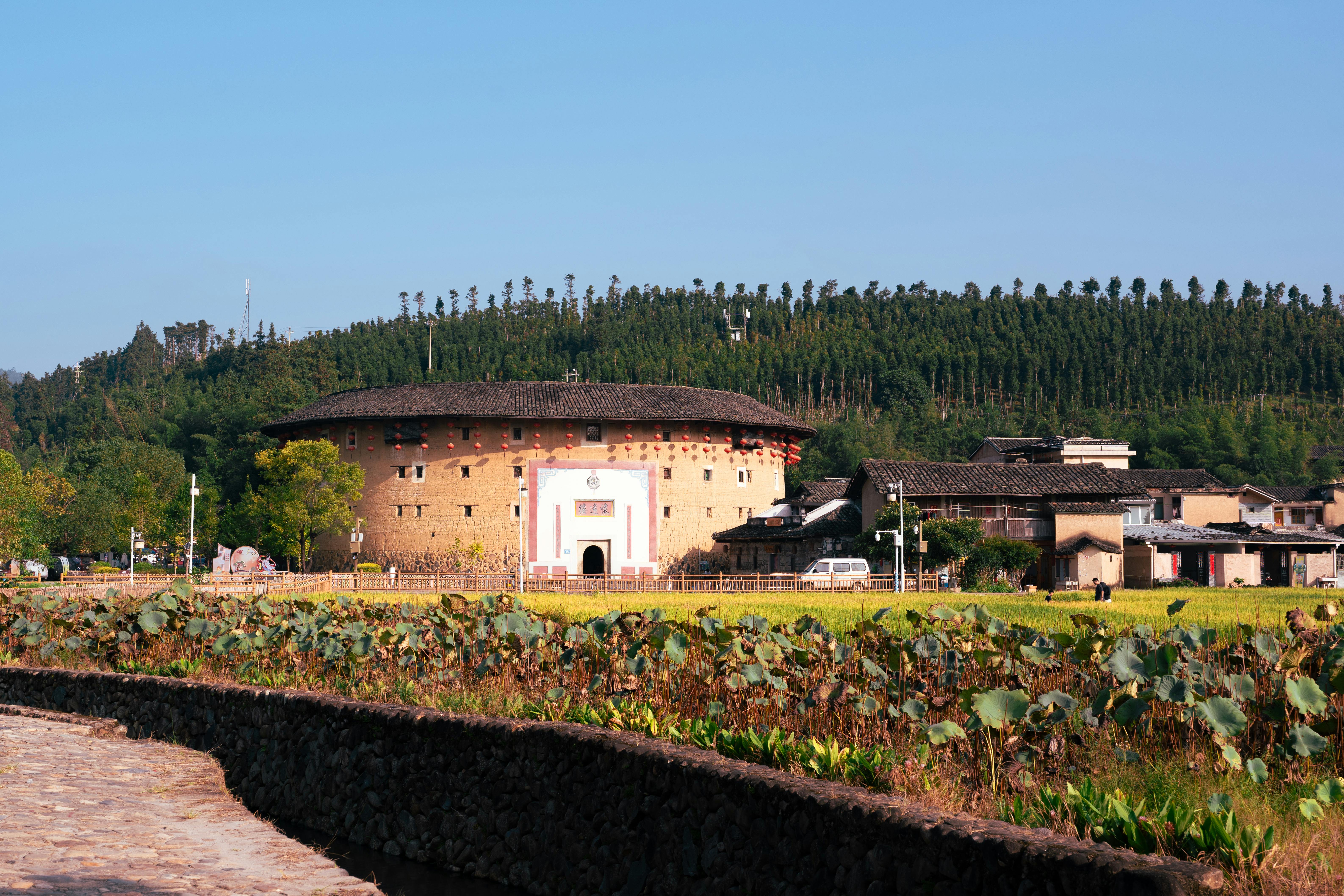 Understanding Environmental Factors and Their Impact