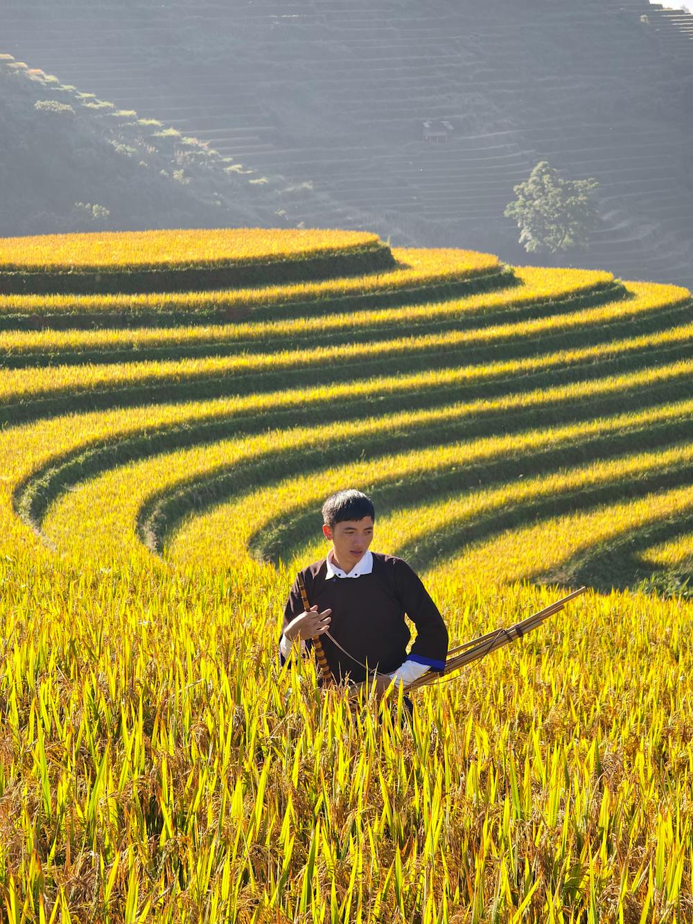 Autumn Harvest Rice Pilaf
