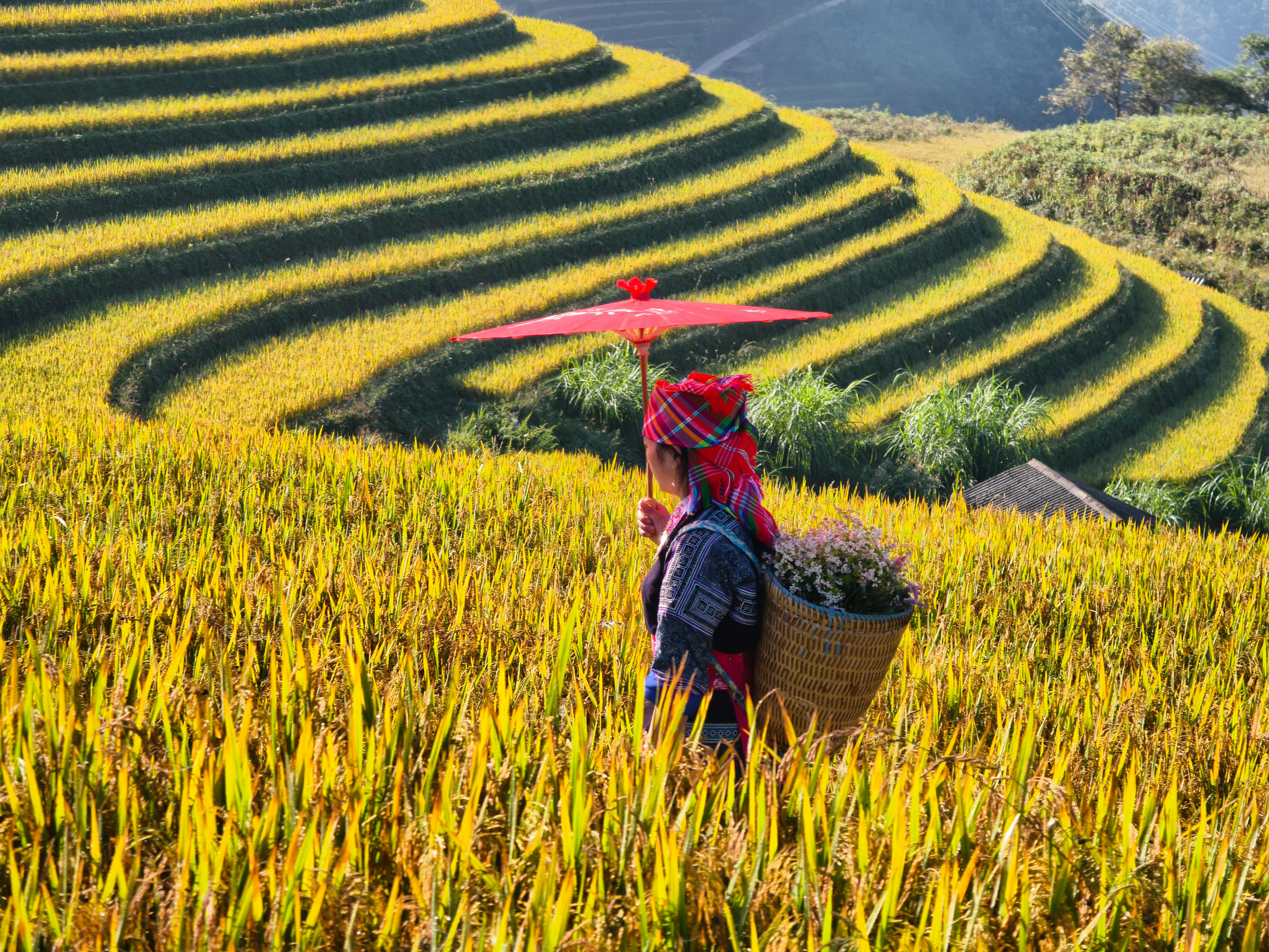 Tools for Spirit Communication and Spirit Boards: A Comprehensive Guide