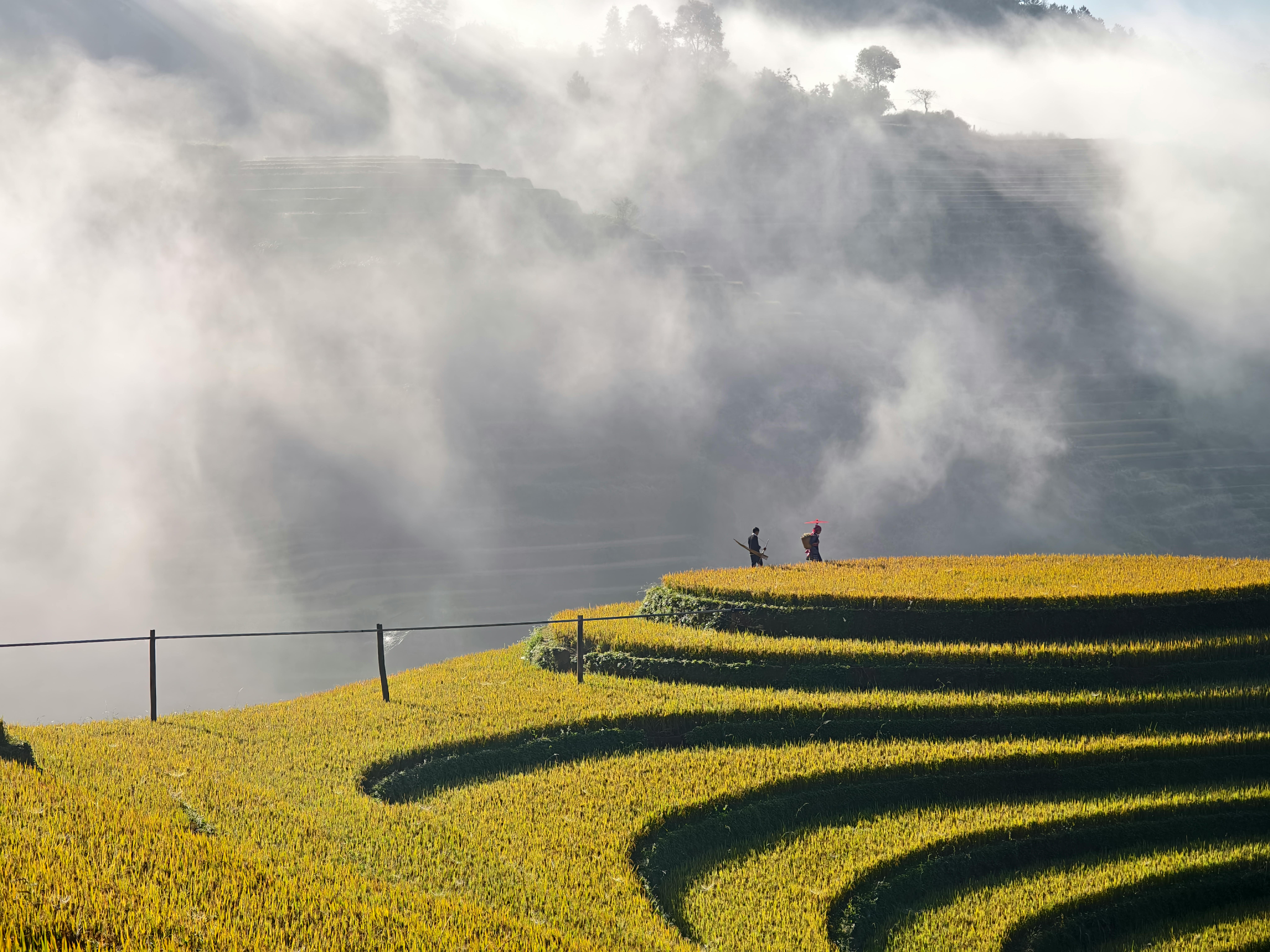 政治：蔣萬安：新壽北士科地將朝終止合約收回方向推進