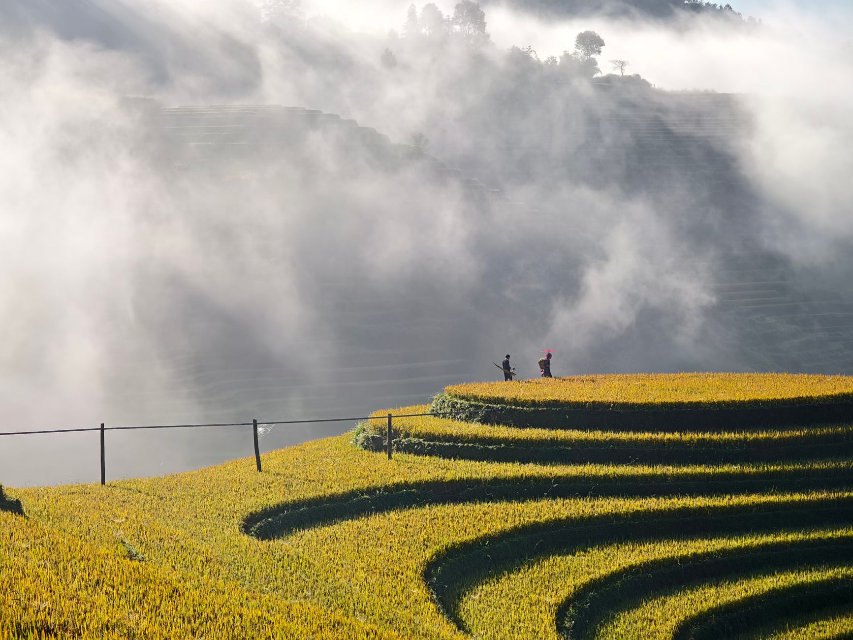 A breathtaking view of misty rice terraces at dawn with two farmers walking among the fields.
