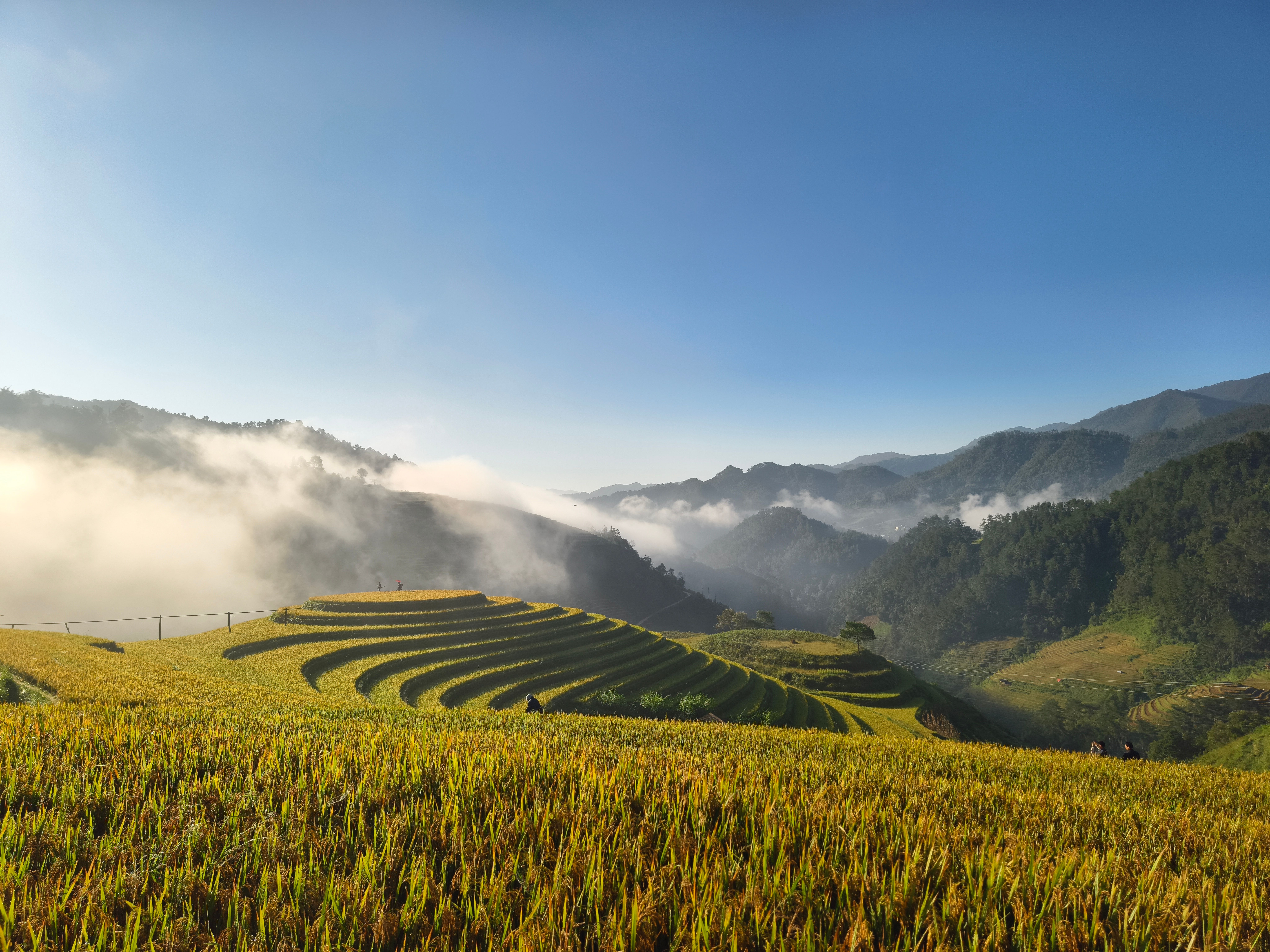 Beautiful view of terraced rice fields with morning mist and mountains under a clear blue sky.