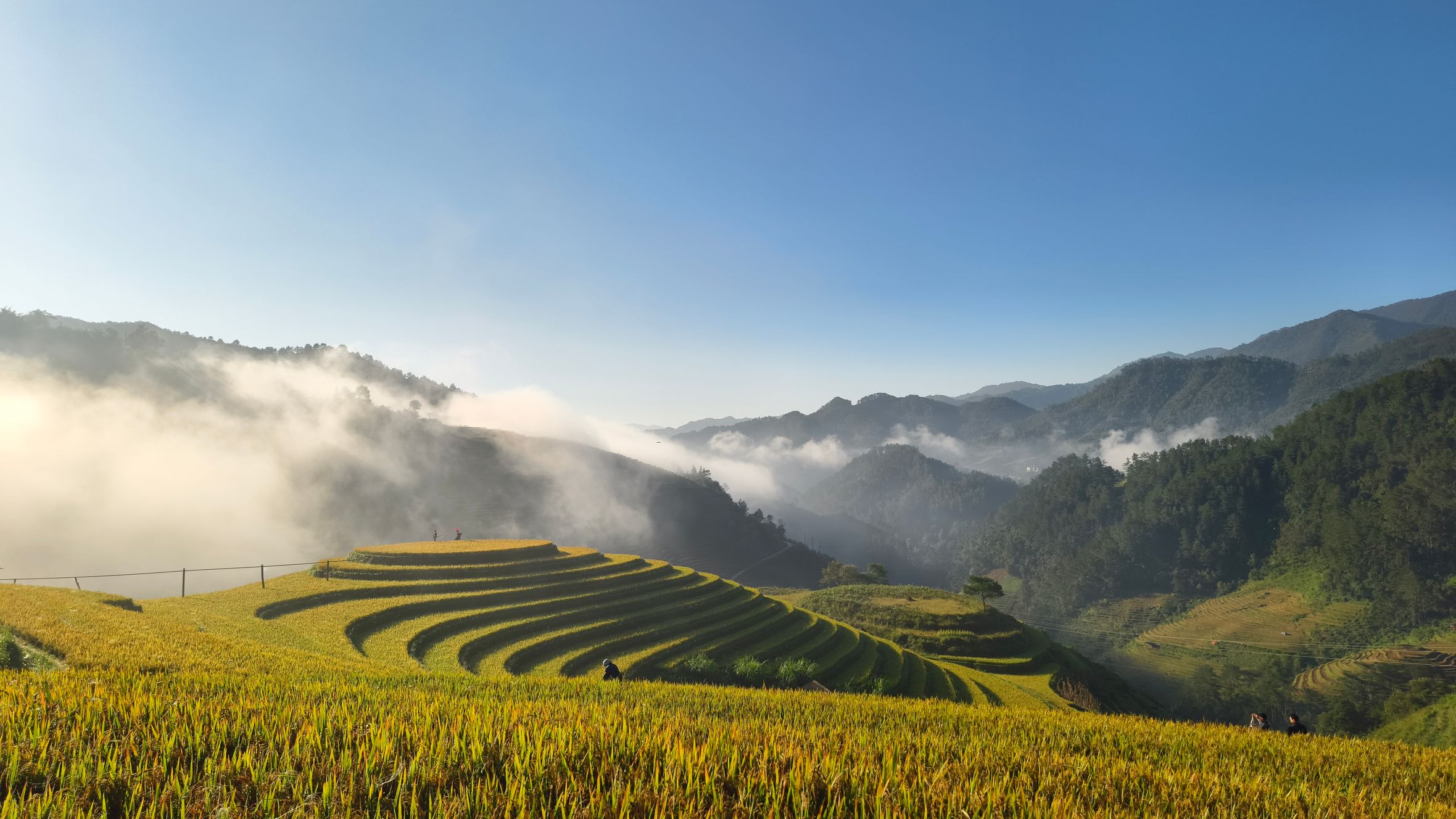 Beautiful view of terraced rice fields with morning mist and mountains under a clear blue sky.