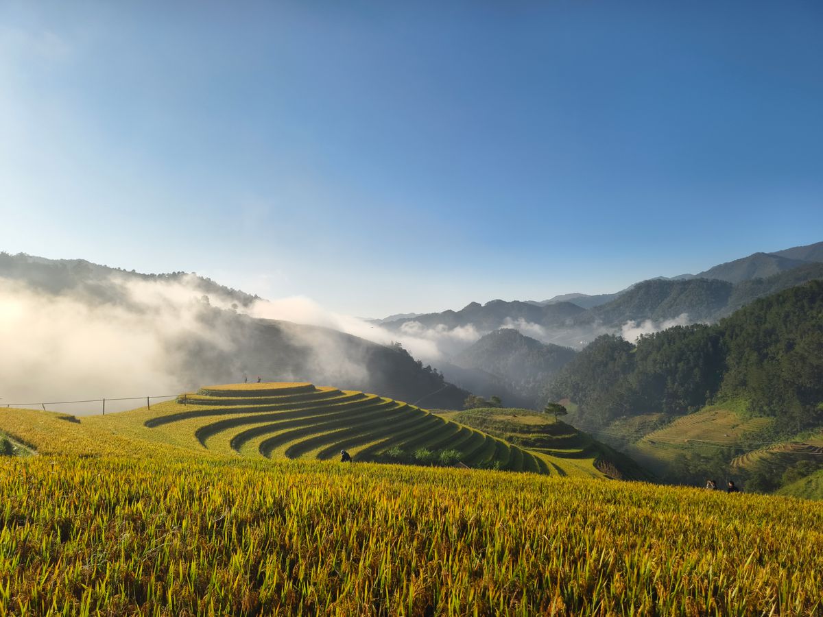 5 Day Private Tennis, Yoga, & Fitness Retreat at Komune, Bali 1