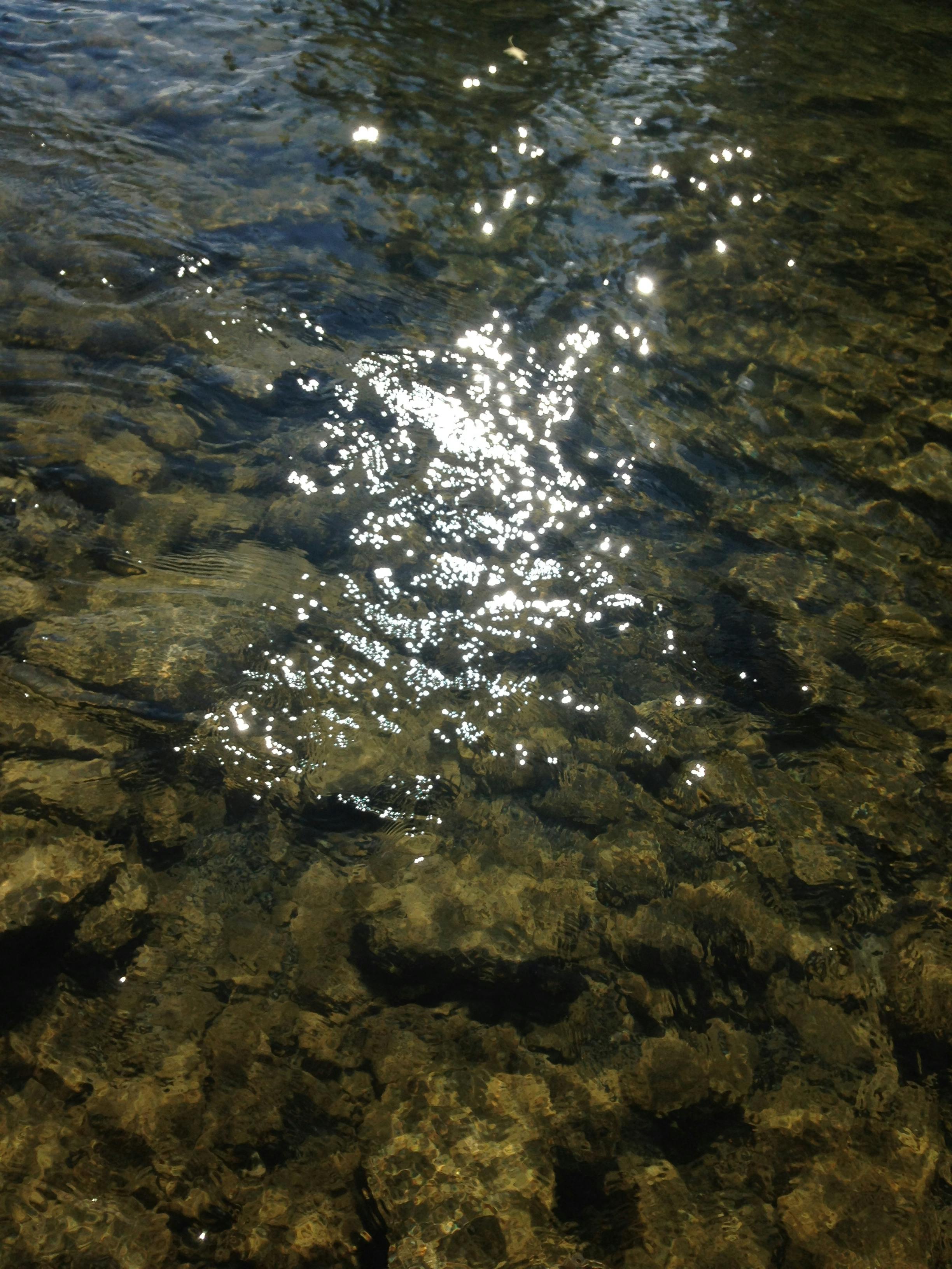 Free stock photo of creek, ripples, sparkling