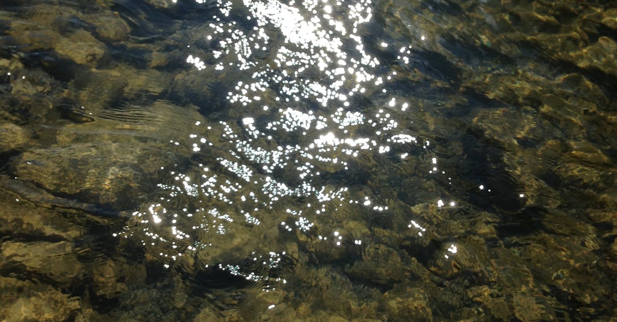 Free stock photo of creek, ripples, sparkling