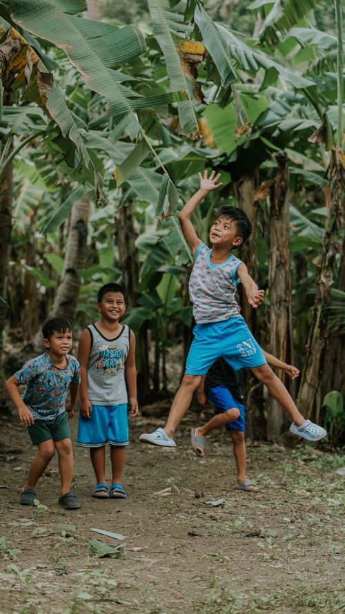 Free Four boys playing and enjoying nature in a lush banana grove. Stock Photo