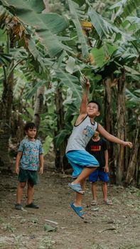 Three boys joyfully playing and jumping in a lush banana plantation.