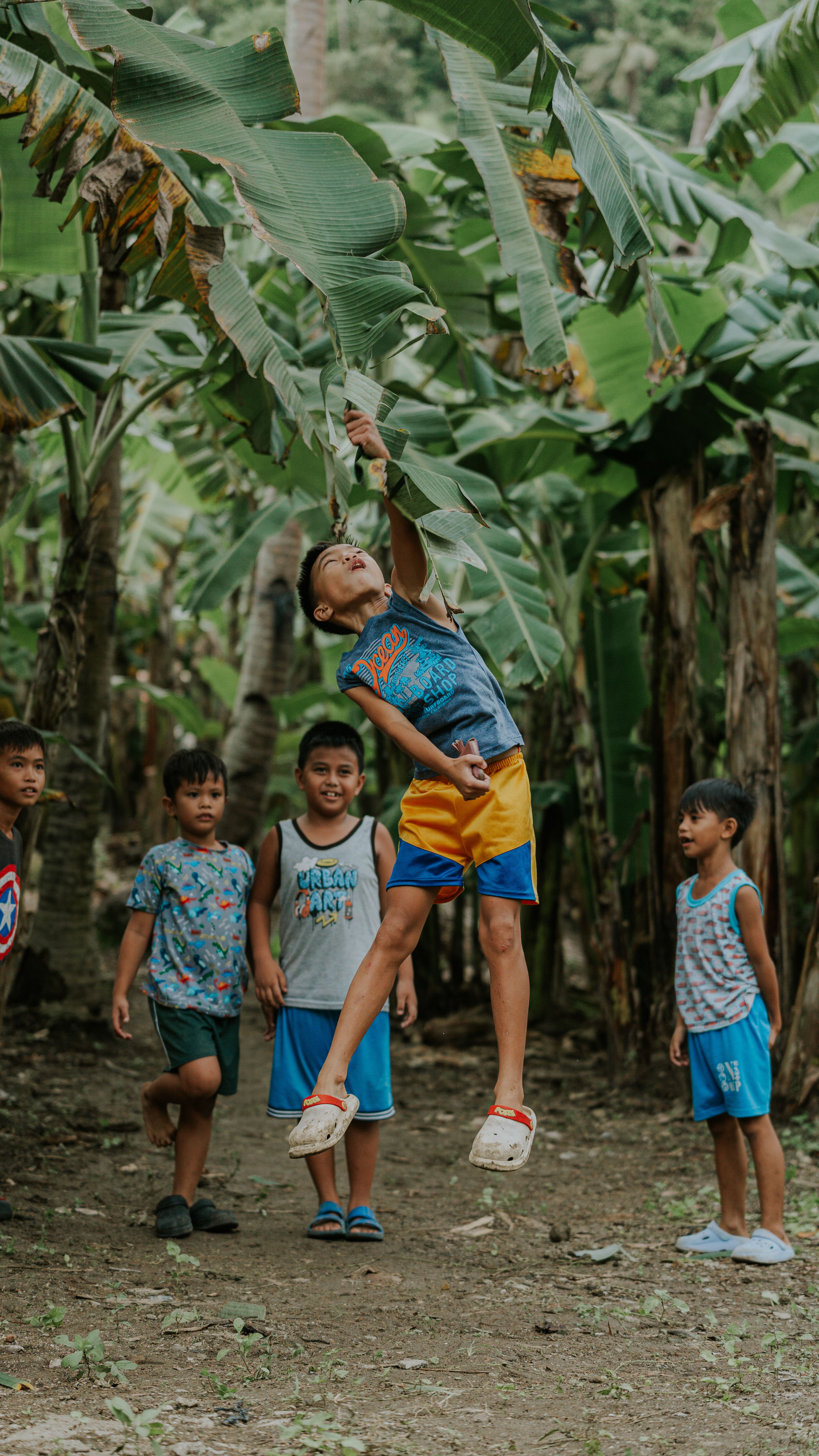 Group of children playfully jumping under banana leaves in a lush grove.
