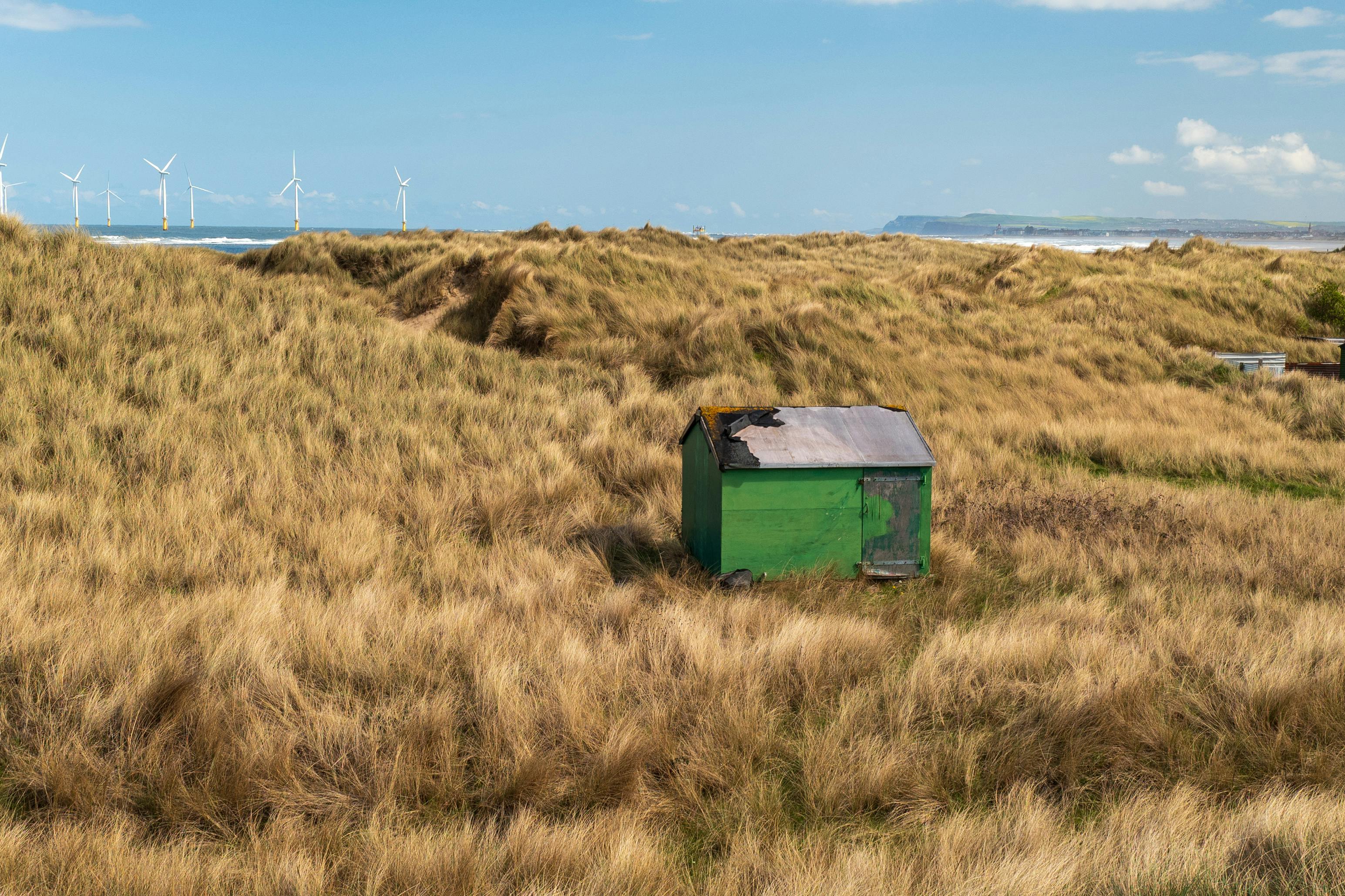 圖書館推出「SDGs生活挑戰轉盤」 激發永續行動力