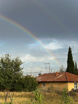好的，我会根据您的要求进行句子的优化
